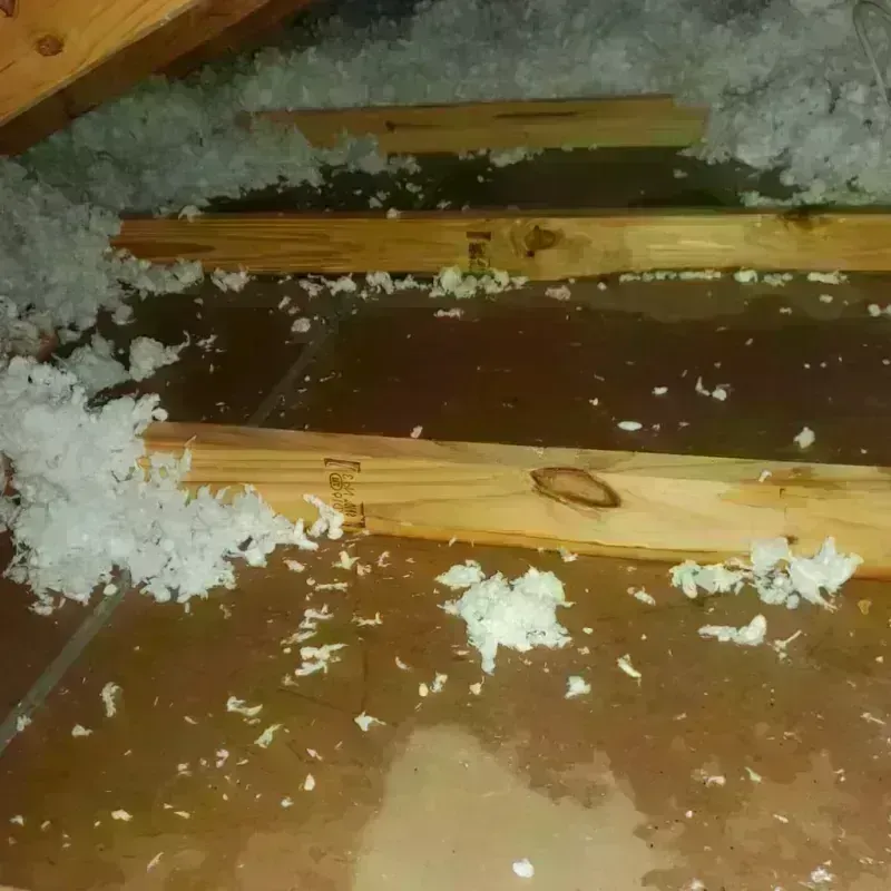 Attic Water Damage in Pendleton, SC