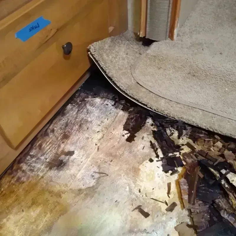 Wood Floor Water Damage in Pendleton, SC